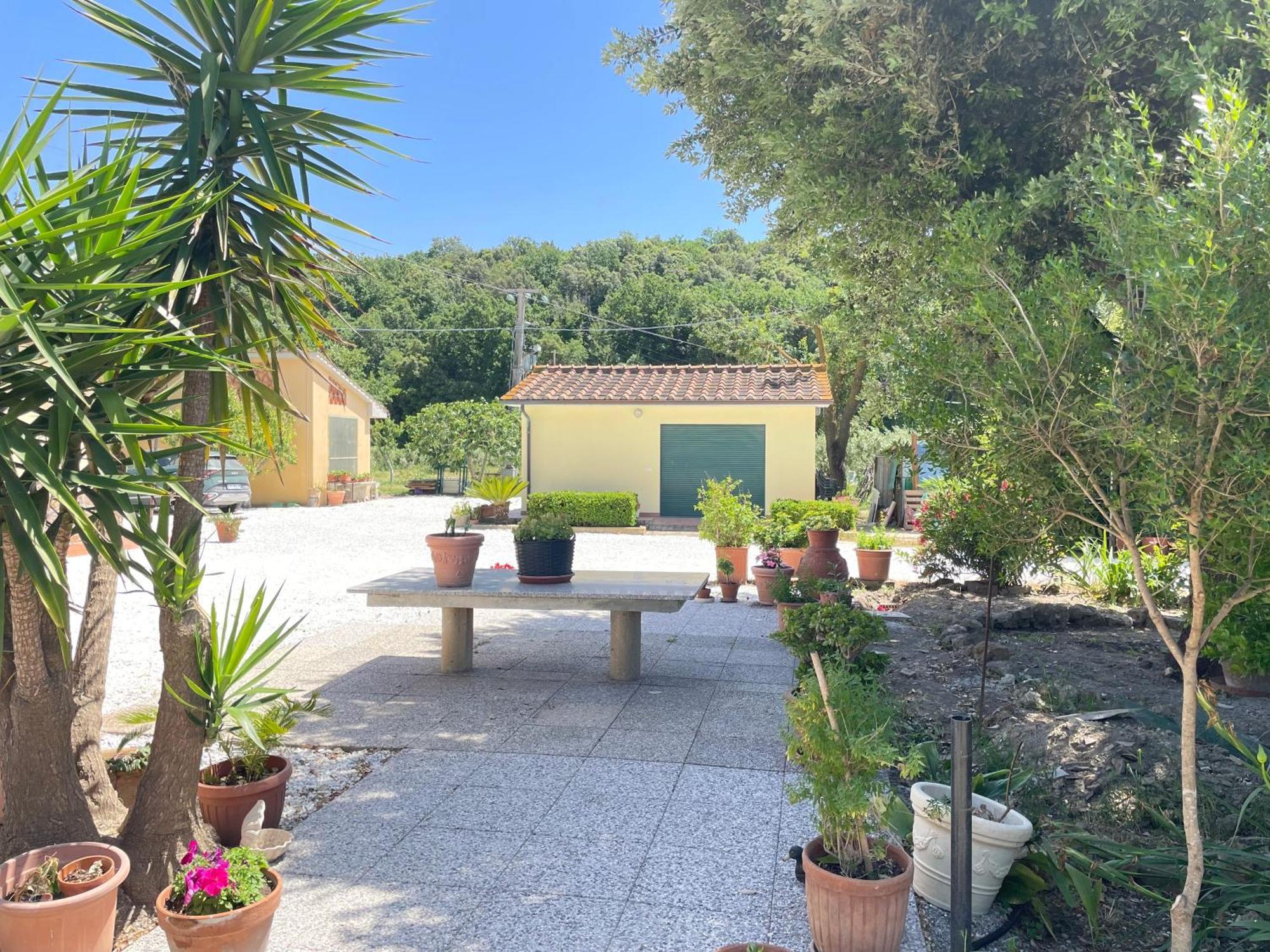 Il Leccio Agriturismo Fiorino Zewnętrze zdjęcie