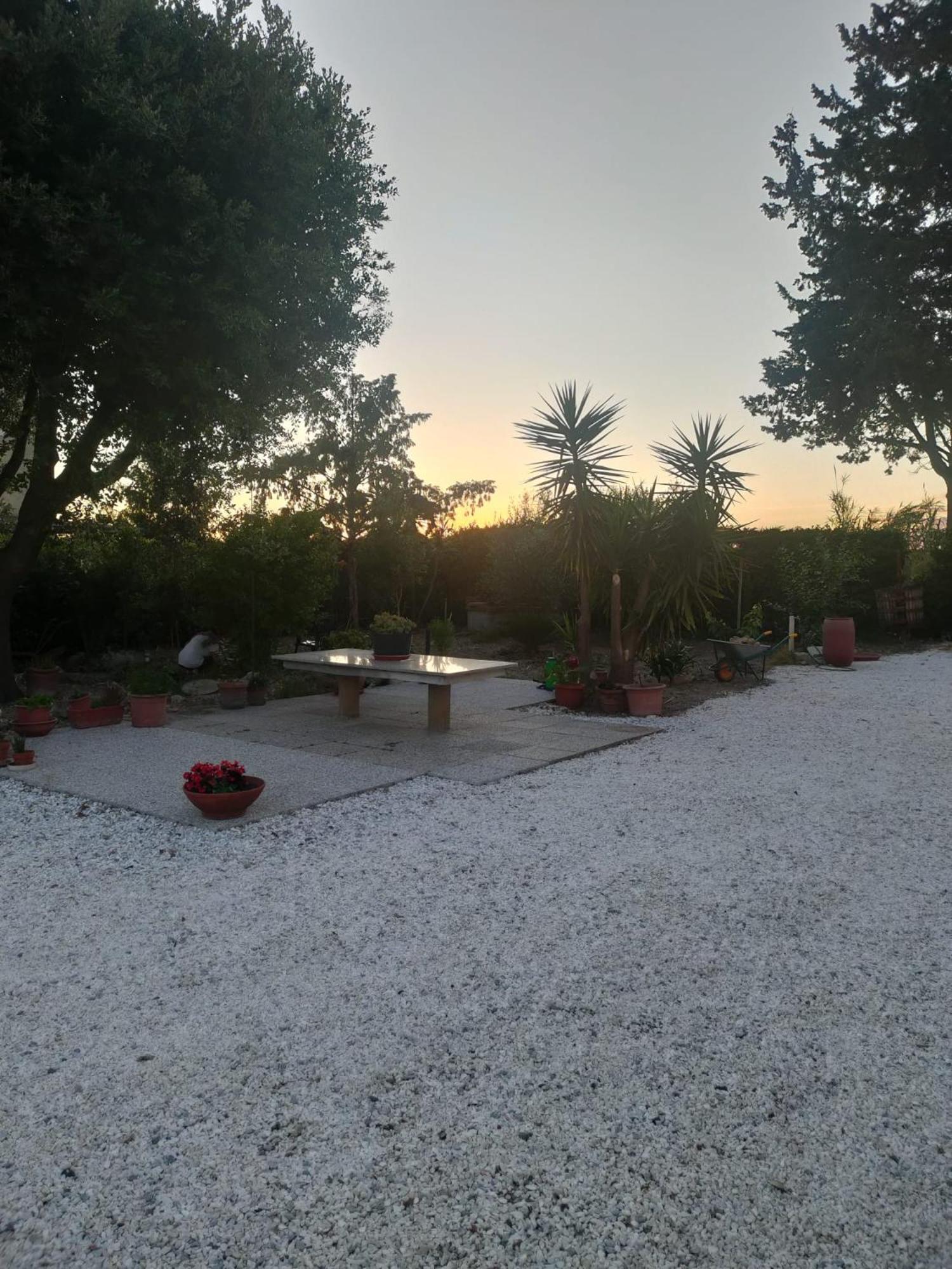 Il Leccio Agriturismo Fiorino Zewnętrze zdjęcie