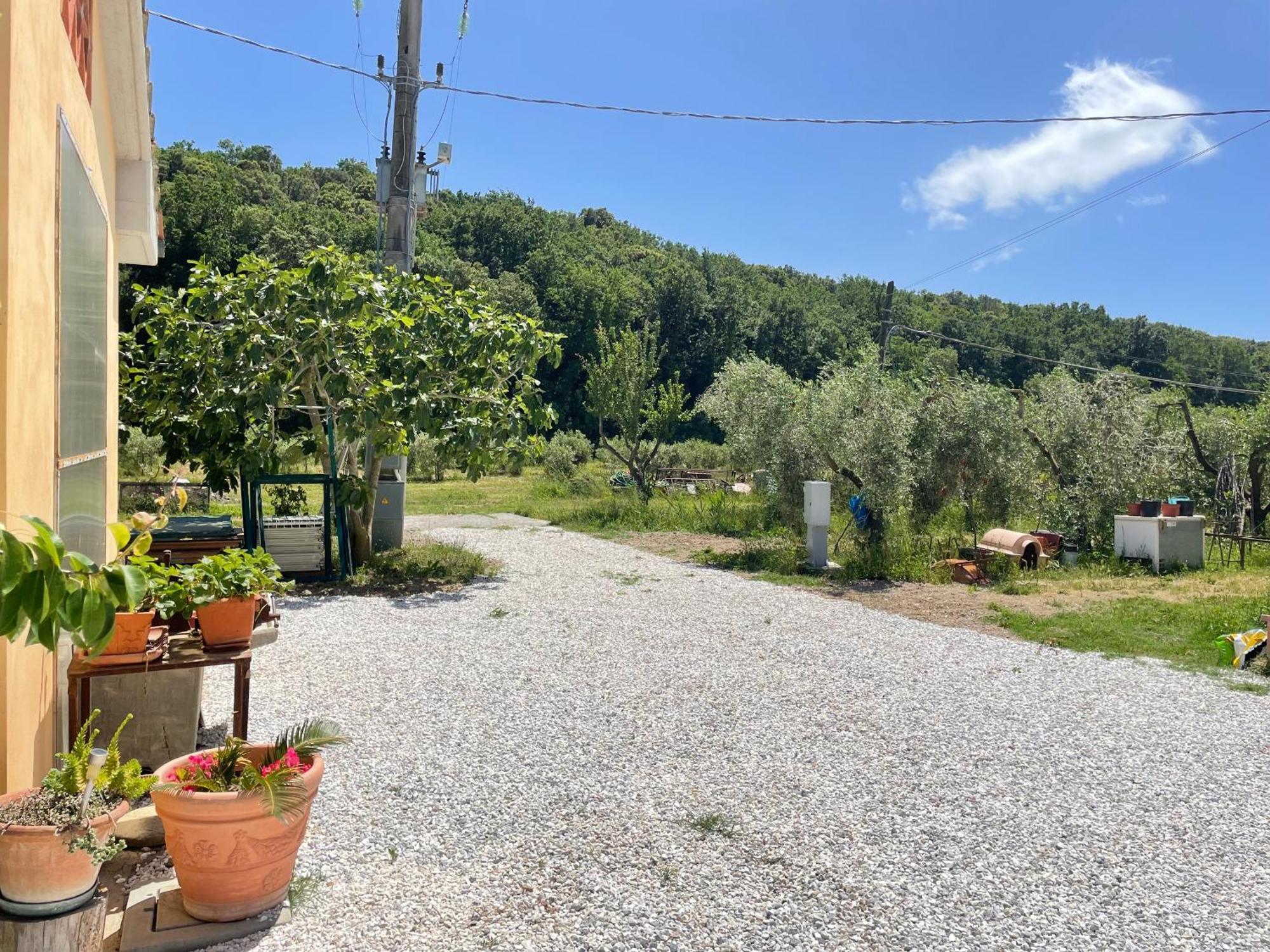 Il Leccio Agriturismo Fiorino Zewnętrze zdjęcie