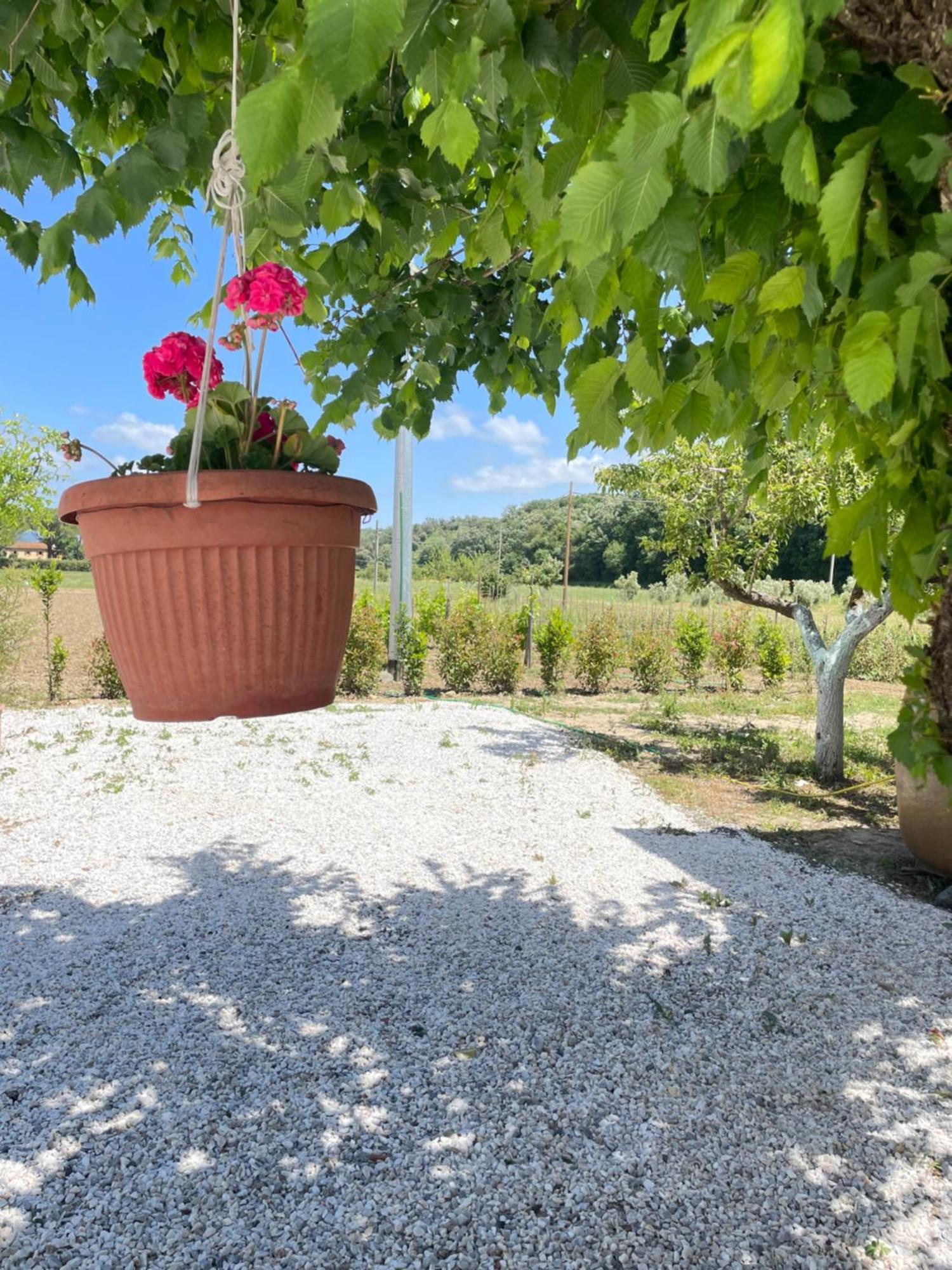 Il Leccio Agriturismo Fiorino Zewnętrze zdjęcie