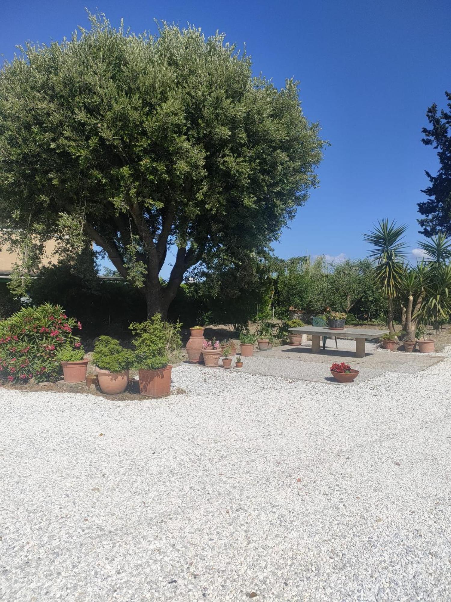 Il Leccio Agriturismo Fiorino Zewnętrze zdjęcie