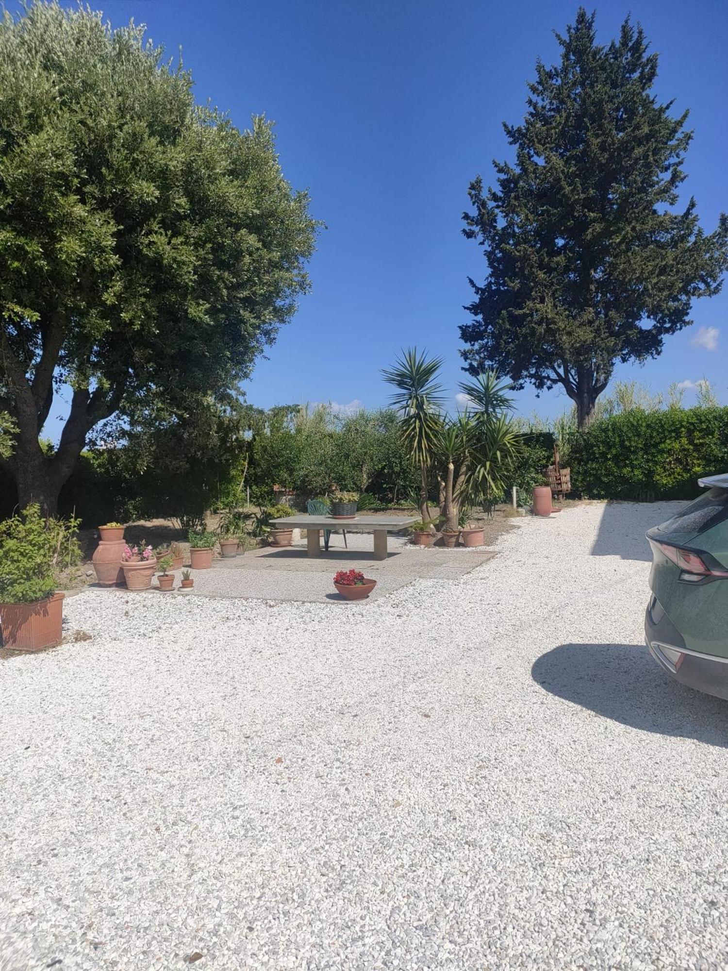 Il Leccio Agriturismo Fiorino Zewnętrze zdjęcie