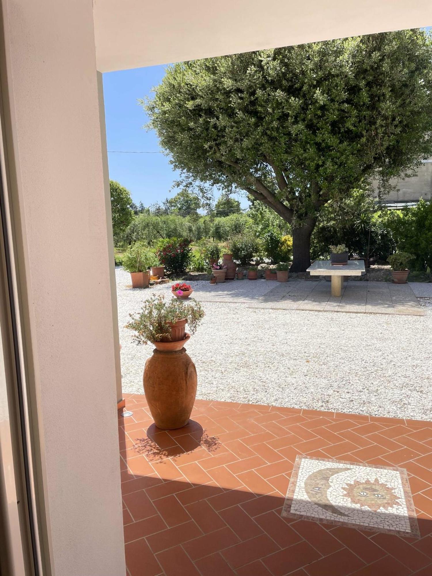 Il Leccio Agriturismo Fiorino Zewnętrze zdjęcie